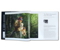 WILDLIFE PHOTOGRAPHER OF THE YEAR. PORTFOLIO 28 2