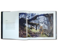 WILDLIFE PHOTOGRAPHER OF THE YEAR. PORTFOLIO 28 4
