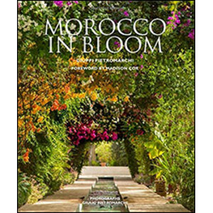 MOROCCO IN BLOOM