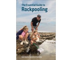 THE ESSENTIAL GUIDE TO ROCKPOOLING     