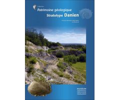 STRATOTYPE DANIEN      