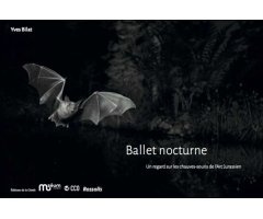 BALLET NOCTURNE. UN REGARD SUR LES CHAUVES- SOURIS DE L'ARC JURASSIEN
