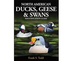 NORTH AMERICAN DUCKS, GEESE & SWANS: IDENTIFICATION GUIDE 2