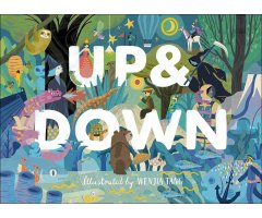 UP & DOWN