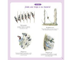 EL LIBRO DE LOS PÁJAROS 3