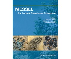 MESSEL: AN ANCIENT GREENHOUSE ECOSYSTEM
