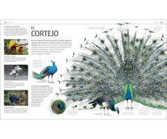 SECRETOS DE LA NATURALEZA 3