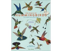THE FAMILY OF HUMMINGBIRDS        