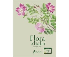 FLORA D\'ITALIA. VOLUME QUARTO   