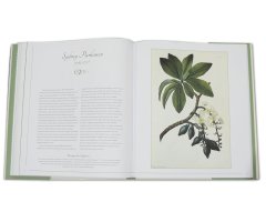 BOTANICAL ART. FROM RENAISSANCE HERBARIA TO THE 19TH CENTURY 2