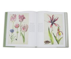 BOTANICAL ART. FROM RENAISSANCE HERBARIA TO THE 19TH CENTURY 4