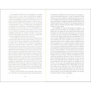 EL INGENIO DE LOS PECES 3