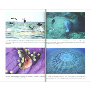 EL INGENIO DE LOS PECES 4