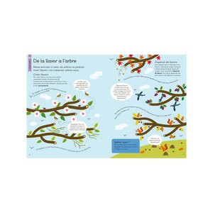 EL NOSTRE PLANETA. ARBRES. EXPLORA, INVESTIGA I CREA! 4