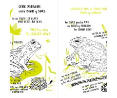 HOLA NATURA. SIEMBRA, CREA, DIBUJA Y COLOREA 2