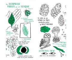 HOLA NATURA. SIEMBRA, CREA, DIBUJA Y COLOREA 3