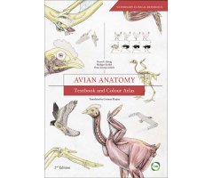 AVIAN ANATOMY