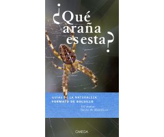 ¿QUÉ ARAÑA ES ESTA?           
