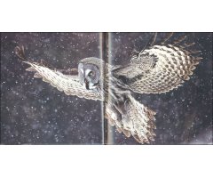 BIRDS IN PICTURES 3