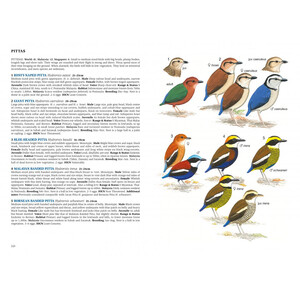 A FIELD GUIDE TO THE BIRDS OF MALAYSIA & SINGAPORE_1