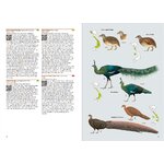 BIRDS OF VIETNAM (FLEXI COVER)_1