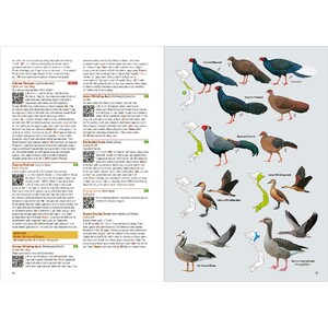 BIRDS OF VIETNAM (FLEXI COVER) 3