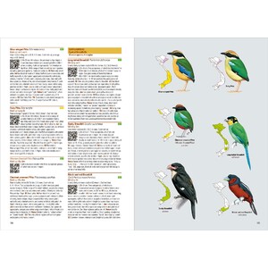 BIRDS OF VIETNAM (FLEXI COVER) 4