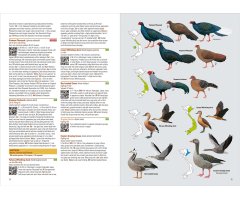 BIRDS OF VIETNAM 3