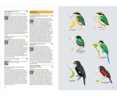 BIRDS OF VIETNAM 4