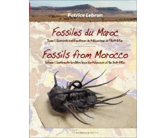 FOSSILES DU MAROC TOME 1. GISEMENTS EMBLEMÁTIQUES DU PALÉOZOÏQUE DE L\'ANTI-ATLAS /FOSSILS FROM MOROCCO  VOLUME 1. EMBLEMATIC LOCALITIES FROM THE PALE