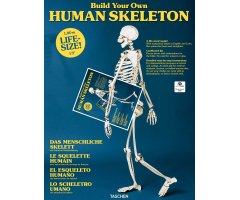 BUILD YOUR OWN HUMAN SKELETON