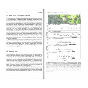 BIRD SPECIES. HOW THEY ARISE, MODIFY AND VANISH_1