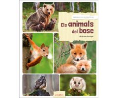 ELS ANIMALS DEL BOSC