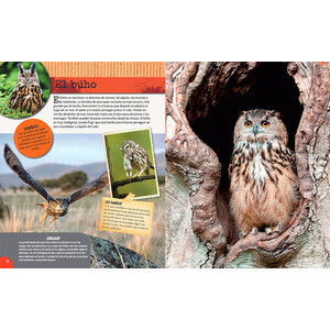 LOS ANIMALES DEL BOSQUE_1