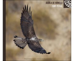 EL ÁGUILA DE BONELLI     