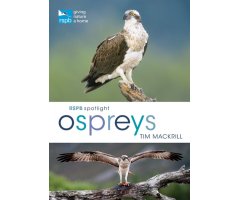 RSPB SPOTLIGHT: OSPREYS
