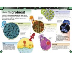 EL LIBRO DE LAS BACTERIAS. FEOS GÉRMENES, VIRUS MALOS Y HONGOS CHUNGOS 2
