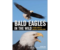 BALD EAGLES IN THE WILD      