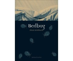 BEDBUG