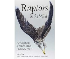RAPTORS IN THE WILD