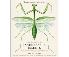 INNUMERABLE INSECTS. THE STORY OF THE MOST DIVERSE AND MYRIAD ANIMALS ON EARTH     