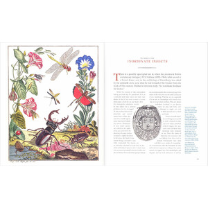 INNUMERABLE INSECTS. THE STORY OF THE MOST DIVERSE AND MYRIAD ANIMALS ON EARTH_1