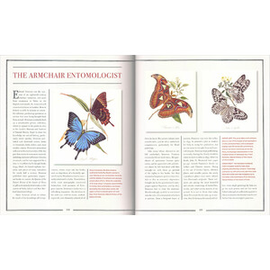 INNUMERABLE INSECTS. THE STORY OF THE MOST DIVERSE AND MYRIAD ANIMALS ON EARTH 4