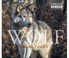 WOLF SANCTUARY
