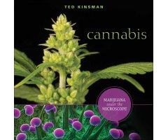 CANNABIS. MARIJUANA UNDER THE MICROSCOPE
