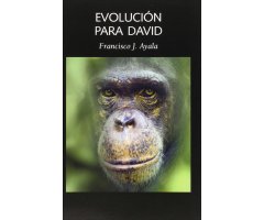 EVOLUCIÓN PARA DAVID