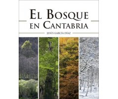 El BOSQUE EN CANTABRIA      