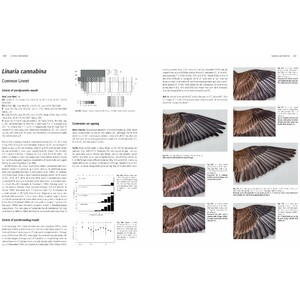 MOULT AND AGEING OF EUROPEAN PASSERINES 5