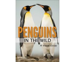 PENGUINS IN THE WILD. A VISUAL ESSAY