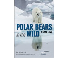 POLAR BEARS IN THE WILD. A VISUAL ESSAY OF AN ENDANGERED SPECIES